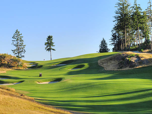 заходящее солнце на пышные остров ванкувер поле для гольфа - golf golf flag sunset flag стоковые фото и изображения