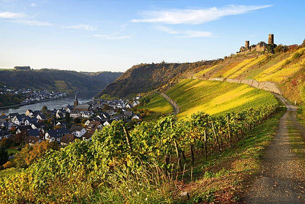Village Alken in Germany at the mosel river with vineyards