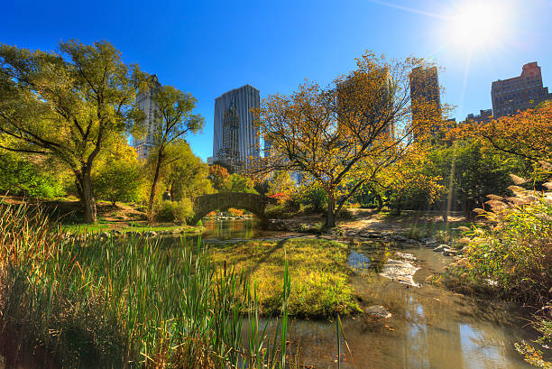 istock Winter in Central Park NYC 174763443