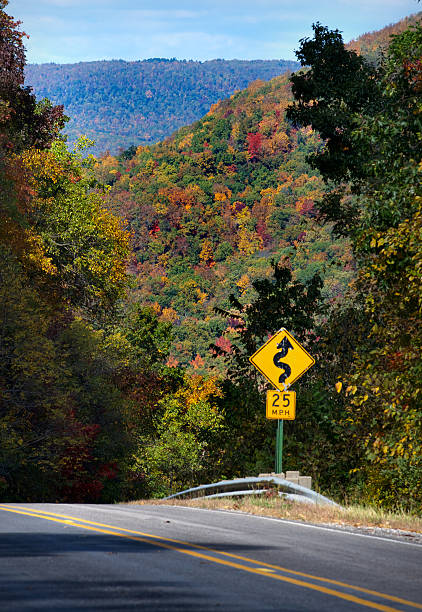 istock Autumn in the Ozarks 174763486
