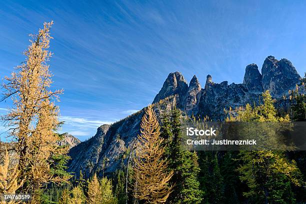 자유의 종 산 낙엽송 나무 리버티 벨 산에 대한 스톡 사진 및 기타 이미지 - 리버티 벨 산, 워싱턴 주, 0명