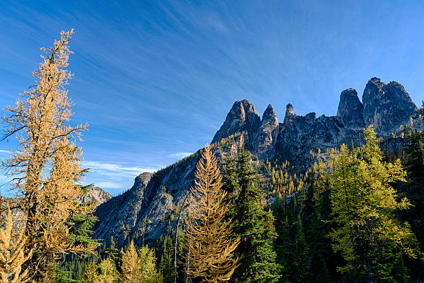 istock Liberty Bell Mountain with Larch Trees 174763519