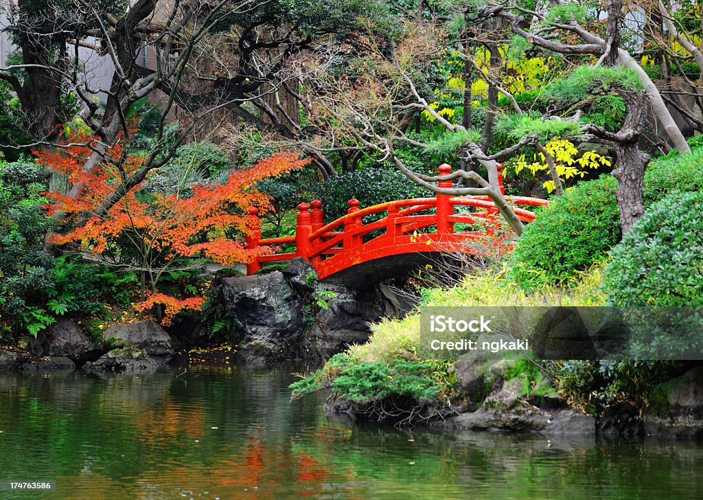 Giapponese Giardino con laghetto e ponte - Foto stock royalty-free di Acero giapponese