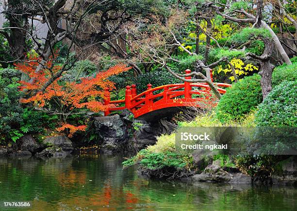 Giapponese Giardino Con Laghetto E Ponte - Fotografie stock e altre immagini di Acero giapponese - Acero giapponese, Albero, Ambientazione esterna