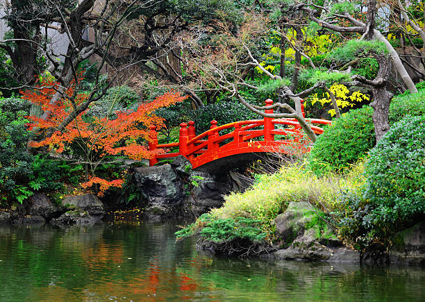 istock Japanese garden with pond and bridge 174763586