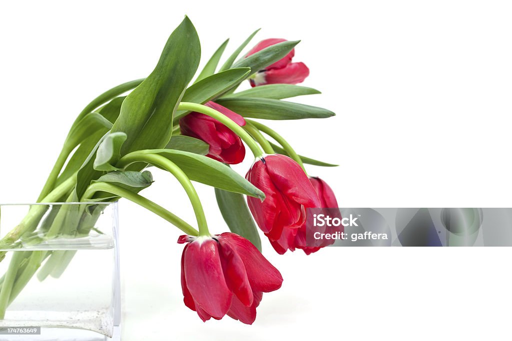 Tulipes rouges dans un vase - Photo de Bouquet de fleurs libre de droits