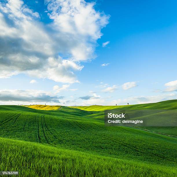 Panorama Colline Toscane - Fotografie stock e altre immagini di Agricoltura - Agricoltura, Ambientazione esterna, Ambientazione tranquilla