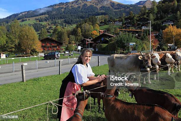 スイス農家の娘整えたヤギや牛の農業を表示 - 1人のストックフォトや画像を多数ご用意 - 1人, ウシ, シャレー