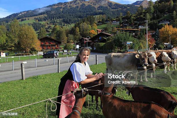 Foto de Swiss Farmers Daughter Prepara Cabras E O Gado Para Show Agrícola e mais fotos de stock de Agricultor