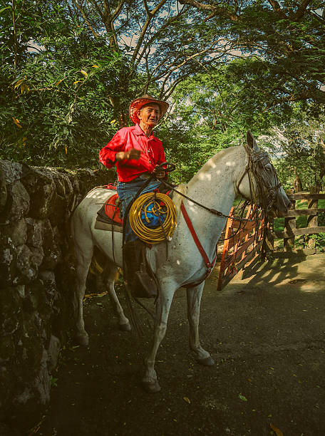 istock cowboy in costa rica 174763913