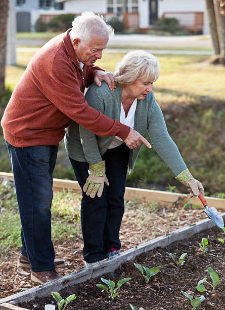 personnes âgées jardinage - sc0588 vertical full length outdoors photos et images de collection