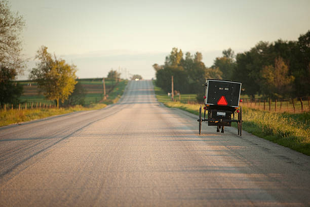 Horse and buggy on side of road at dawn An Amish horse and buggy slowly make their way down a deserted road at sunrise. amish photos stock pictures, royalty-free photos & images