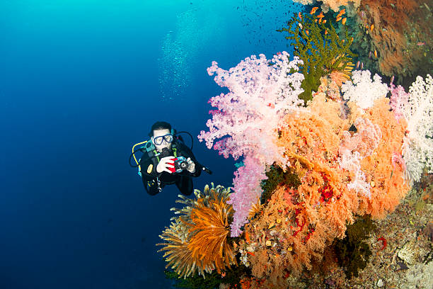 istock Female Photographer on reef 174765926