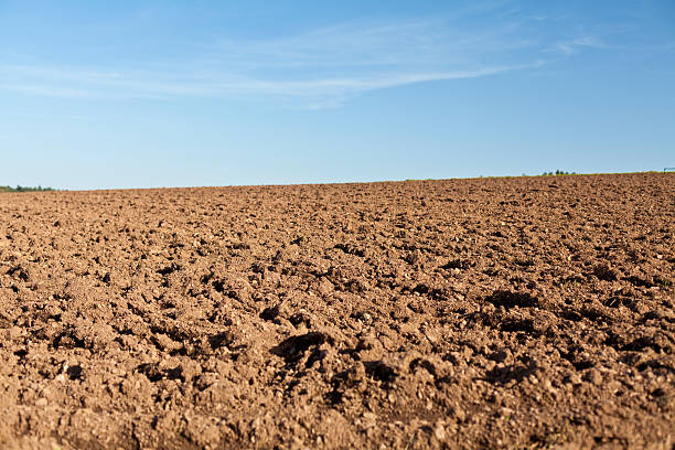istock Field ready for being stocked with seeds 174765999