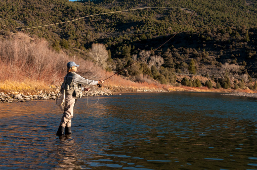 A woman casting a fly-fishing line into the Colorado River in the Rocky Mountains of Colorado.