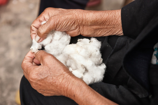 Old woman cleaning seeds out of cottonwool harvest