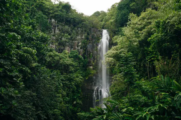 Photo of Wailua Falls on Maui, cascading 80 feet into the jungle