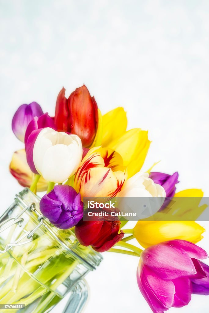 Bela vibrante de tulipas no pote - Foto de stock de Amarelo royalty-free