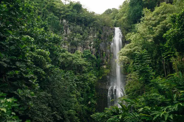 Photo of Wailua Falls on Maui, cascading 80 feet into the jungle