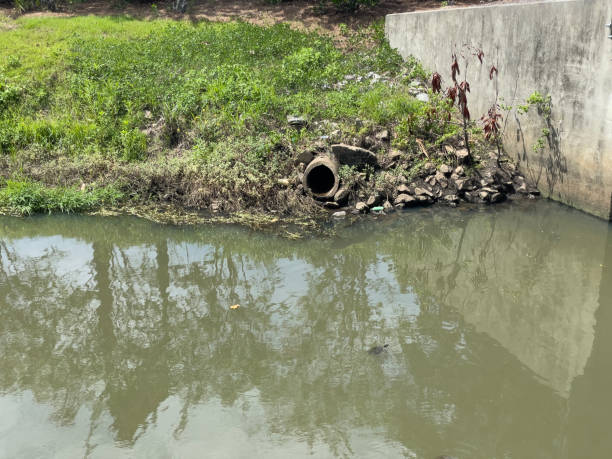 istock A turtle is swimming in polluted water. 1747670626