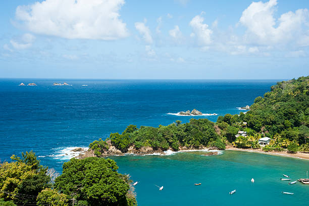 istock Blue Waters of the Caribbean 174767298
