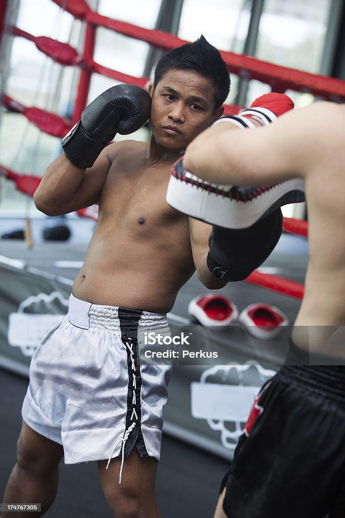 muay thai boxing muay thai boxing - indoors shoot Abdominal Muscle Stock Photo