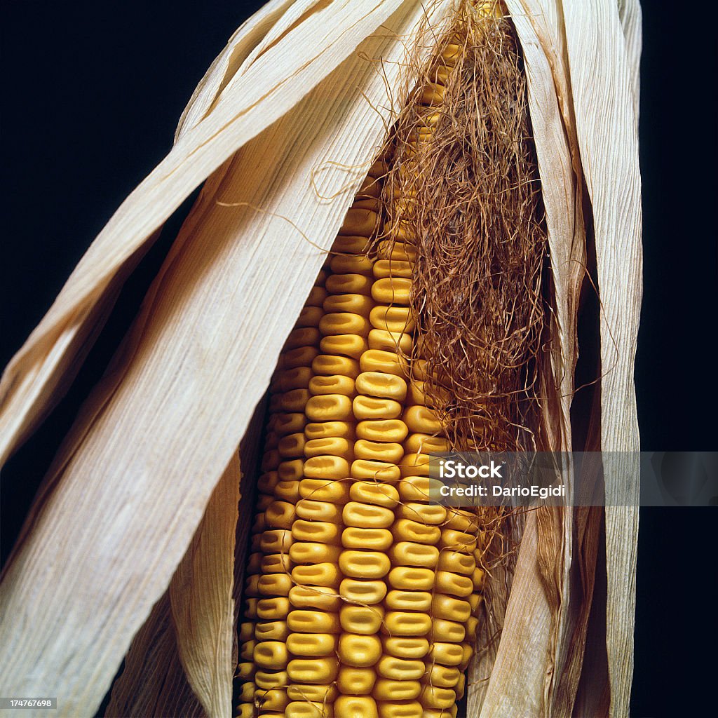 Verdure di cibo di mais cob - Foto stock royalty-free di Mais bianco