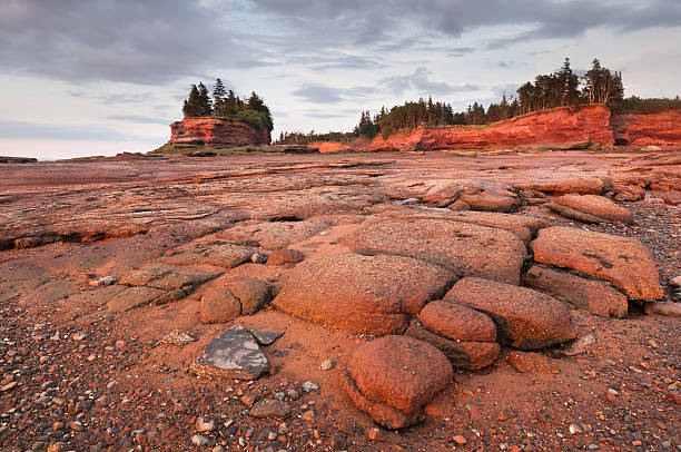 maré baixa litoral - horizontal nova scotia bay of fundy bay imagens e fotografias de stock