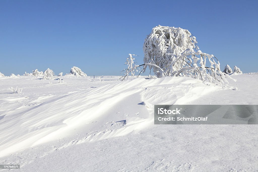 landsacpe de inverno neve - Foto de stock de Azul royalty-free