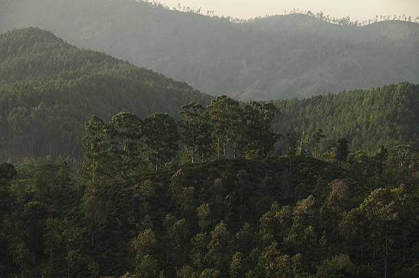 istock Ella,Hill country, Sri Lanka. 174768115
