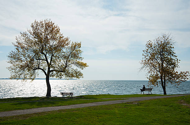 Park Bench Park benchs in an urban park in Kingston with bare deciduous trees and an unrecognizable person sitting on a bench with a view of Lake Ontario. kingston ontario photos stock pictures, royalty-free photos & images