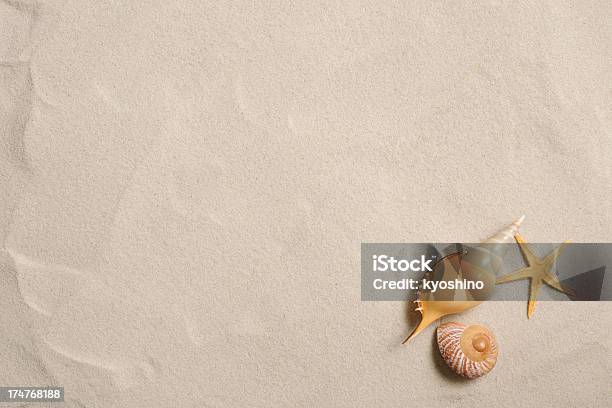 Seestern Und Muscheln Auf Einem Sandstrand Mit Textfreiraum Stockfoto und mehr Bilder von Sandig