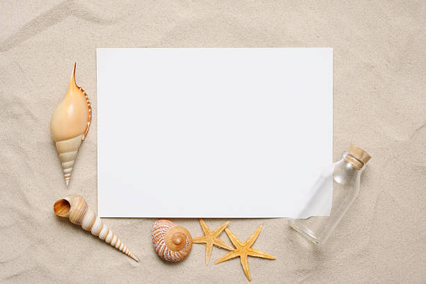 istock Blank paper on the sandy beach with seashells 174768190