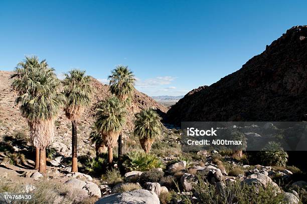 Foto de 49 Palms Oásis e mais fotos de stock de Califórnia - Califórnia, Calor, Clima árido