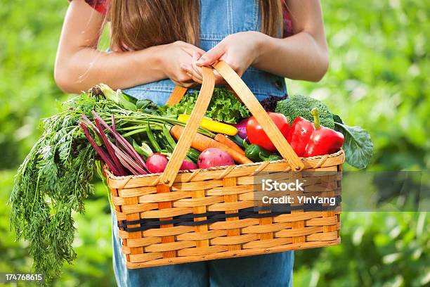 Young Farm Girl Holding Basket Of Freshly Harvested Produce Stock Photo - Download Image Now