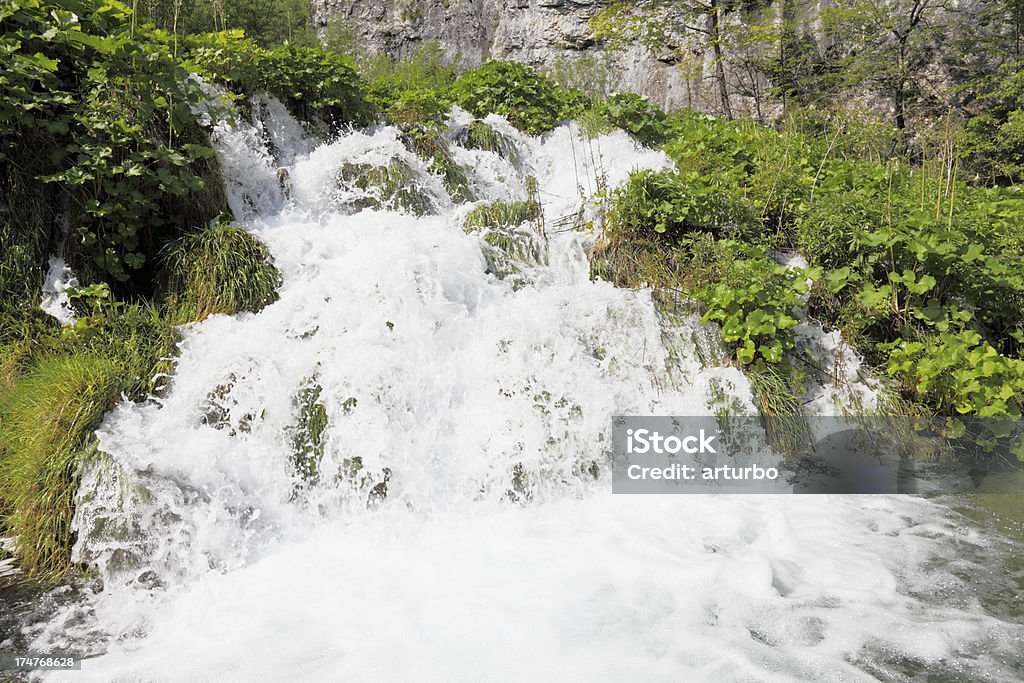 cascades pasos con flujo de agua en verde hojas de Plitvice Croacia - Foto de stock de Agua libre de derechos
