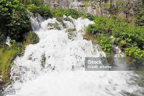 Cascades Pasos Con Flujo De Agua En Verde Hojas De Plitvice Croacia Foto de stock y más banco de imágenes de Agua