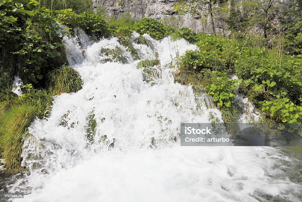 cascades pas avec le streaming de l'eau par le biais de feuilles vertes Plitvice en Croatie - Photo de Blanc libre de droits