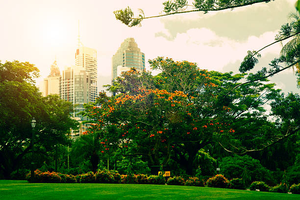 Botanic gardens in Brisbane Australia with city skyline in distance.
