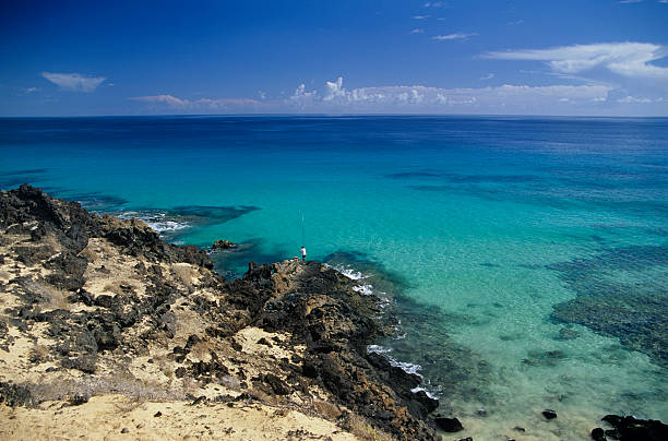istock Fuerteventura Seascape 174770128