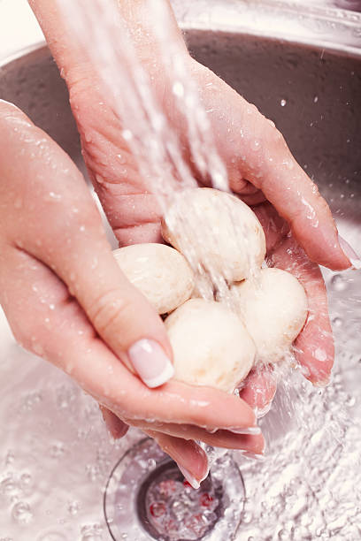 мыть свежие овощи - mushroom edible mushroom water splashing стоковые фото и изображения