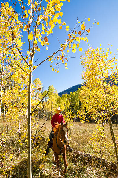 istock autumn horseback riding landscape 174770623