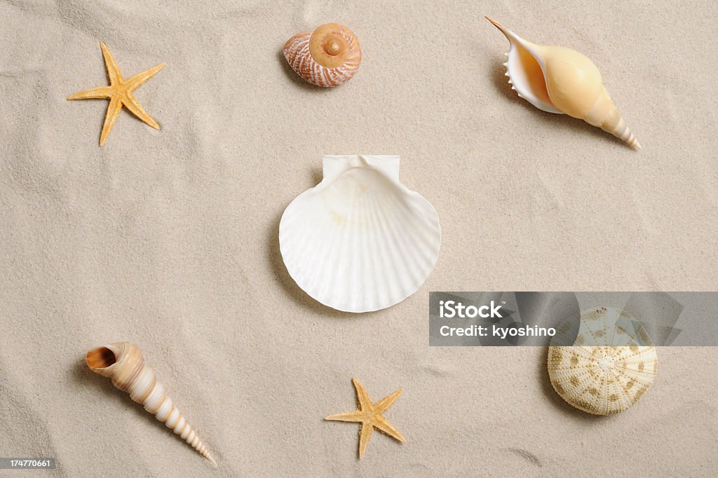 Starfish and Seashells - でこぼこのロイヤリティフリーストックフォト