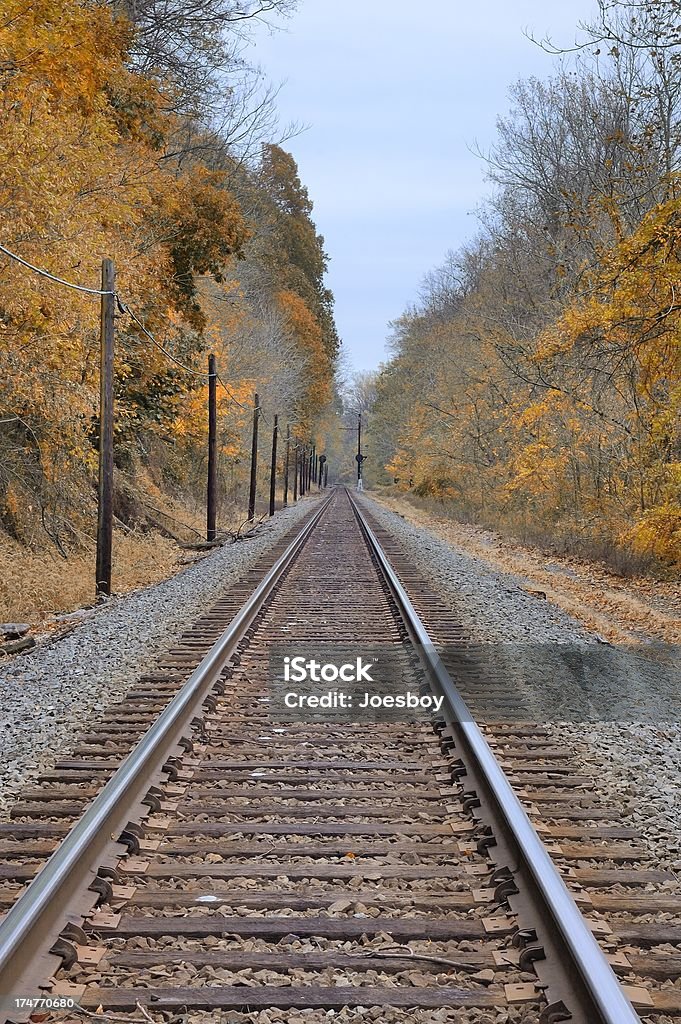 Conowingo Railroad faixas e postes de telefone - Foto de stock de Estrada de ferro royalty-free