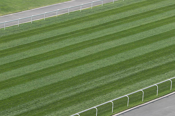 Horse Racing Track Horse Racing Track with turf course. horse racing top view stock pictures, royalty-free photos & images
