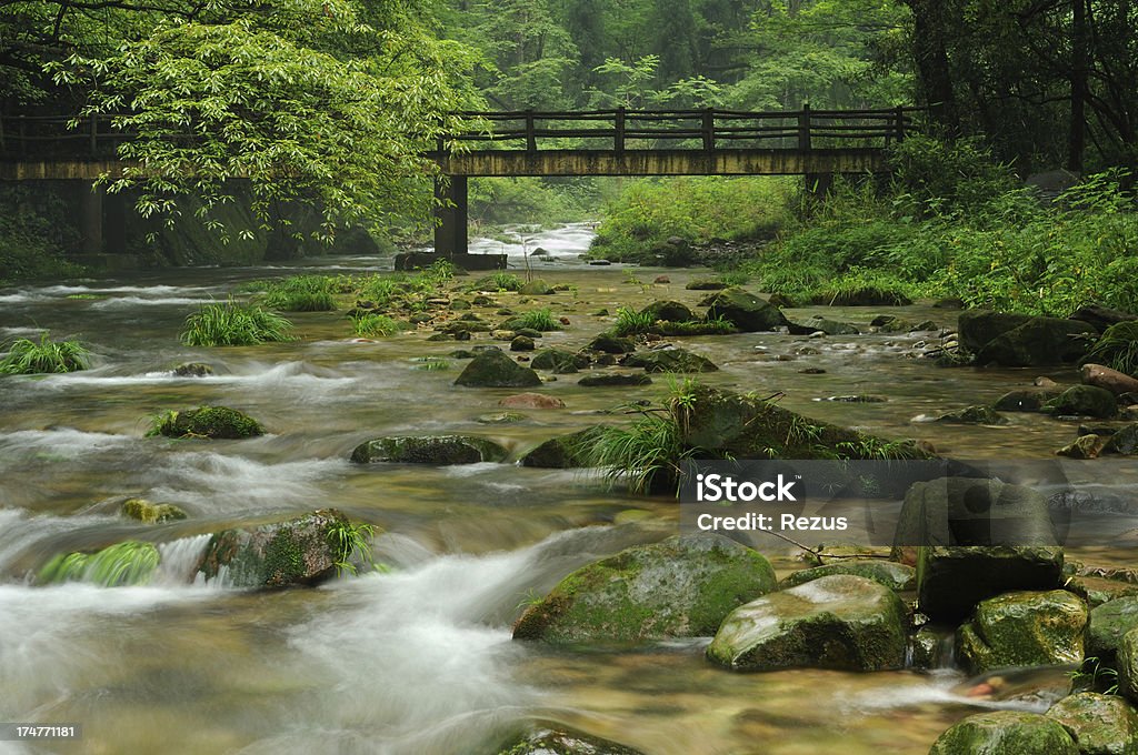 Ruisseau de montagne en Chine - Photo de Arbre libre de droits