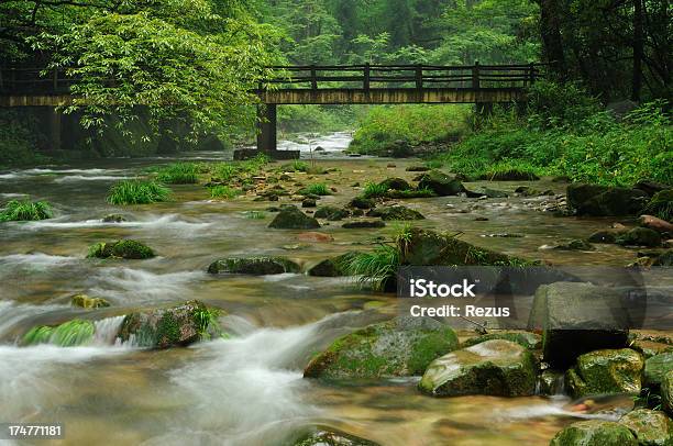 Photo libre de droit de Ruisseau De Montagne En Chine banque d'images et plus d'images libres de droit de Arbre - Arbre, Asie, Beauté de la nature