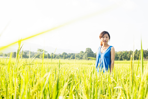 Young Asian woman in a rice field.