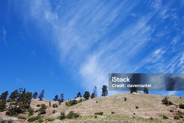 Deserto Hills - Fotografias de stock e mais imagens de Ao Ar Livre - Ao Ar Livre, Beleza natural, Canadá