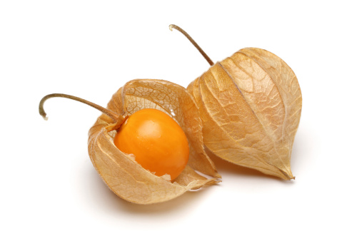 Physalis; object on a white background